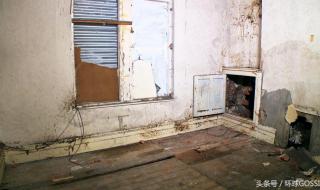 利物浦的外号叫什么 利物浦为什么叫马桶